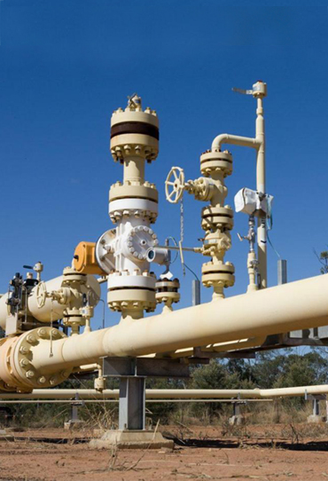 應(yīng)用領(lǐng)域